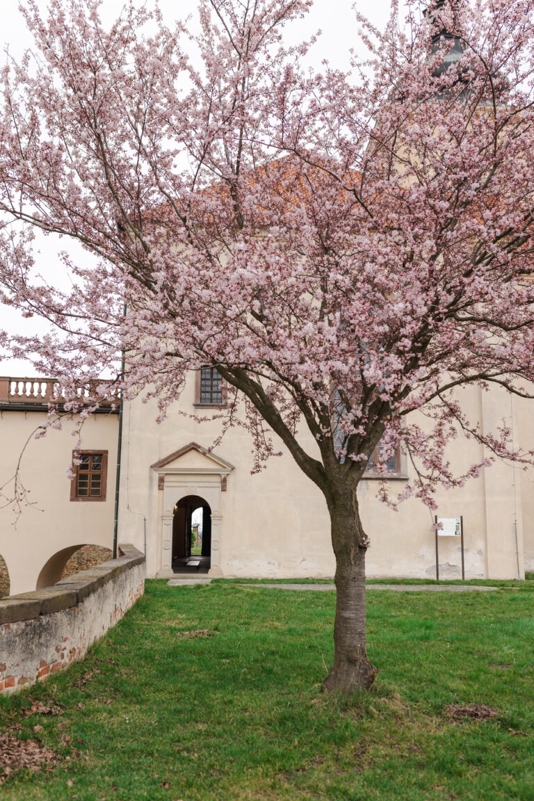 Cutikovi JanaPolova 012 768x1152